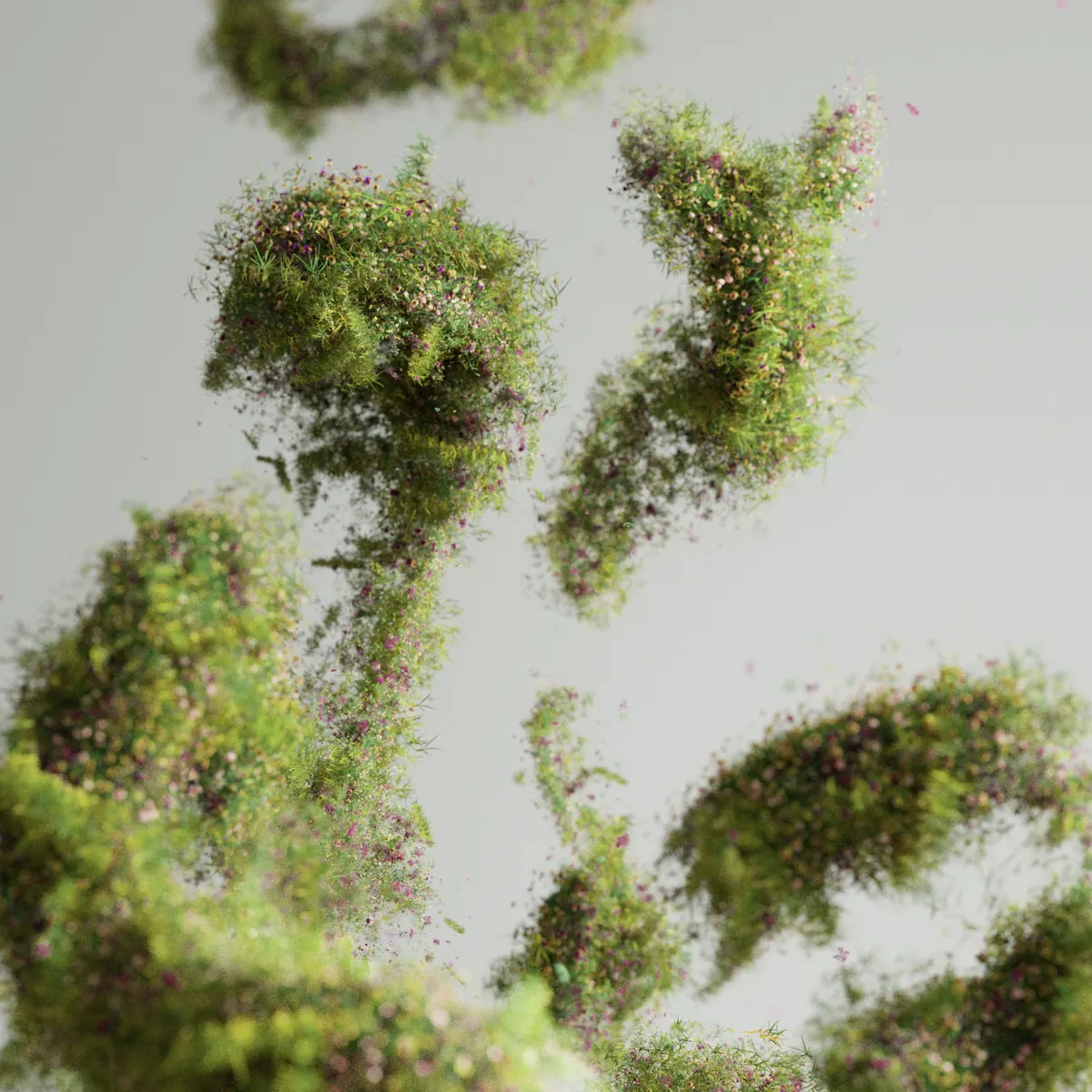 Floating moss shapes, 3D render